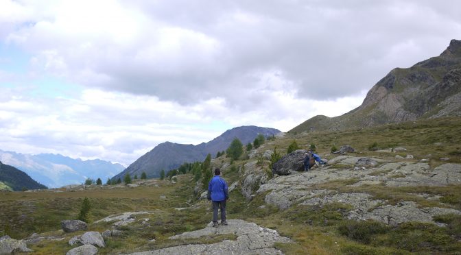 Wie hoch kommst du mit einem Keks?