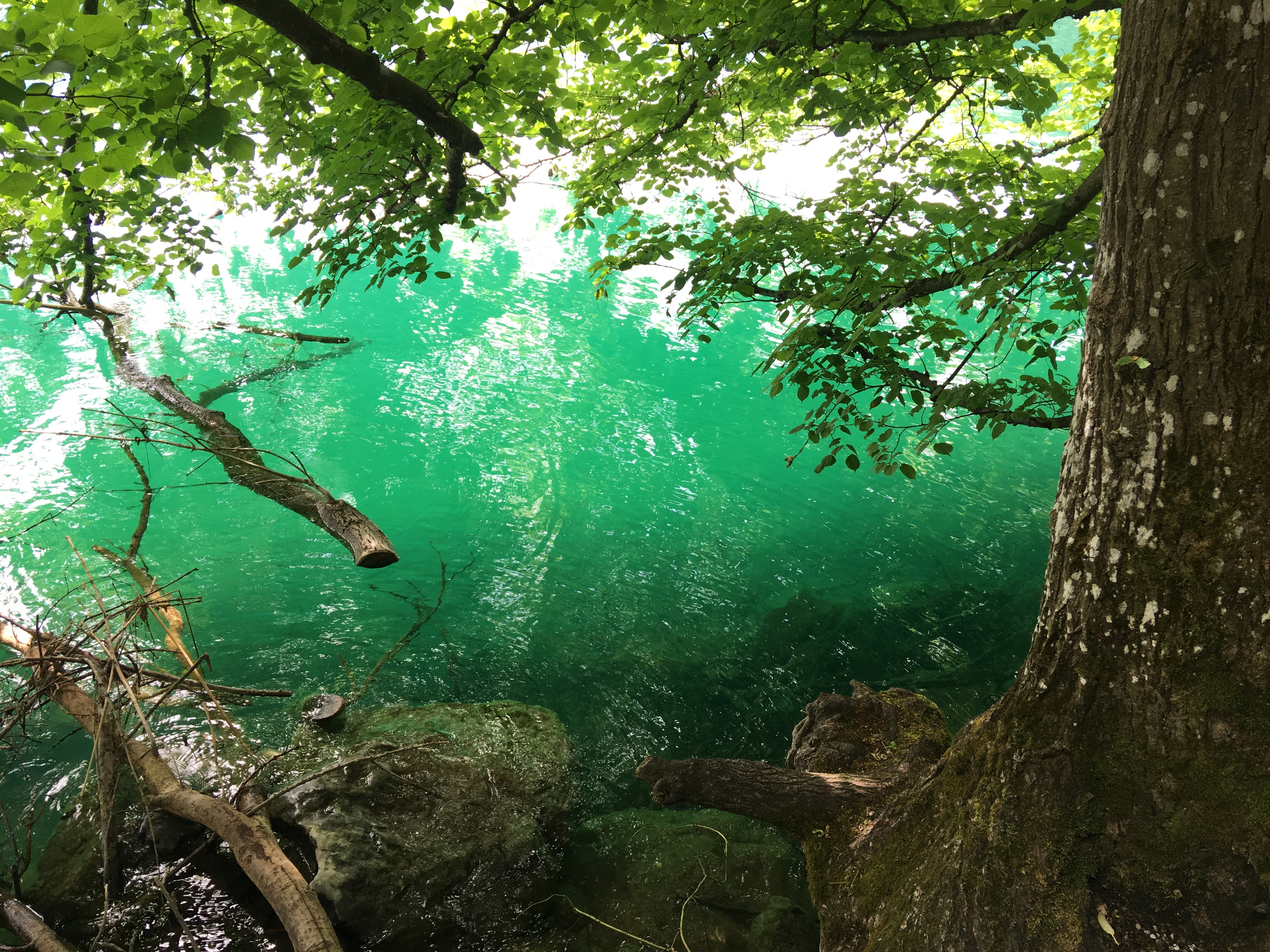 Soft Skills Naturwissenschaften