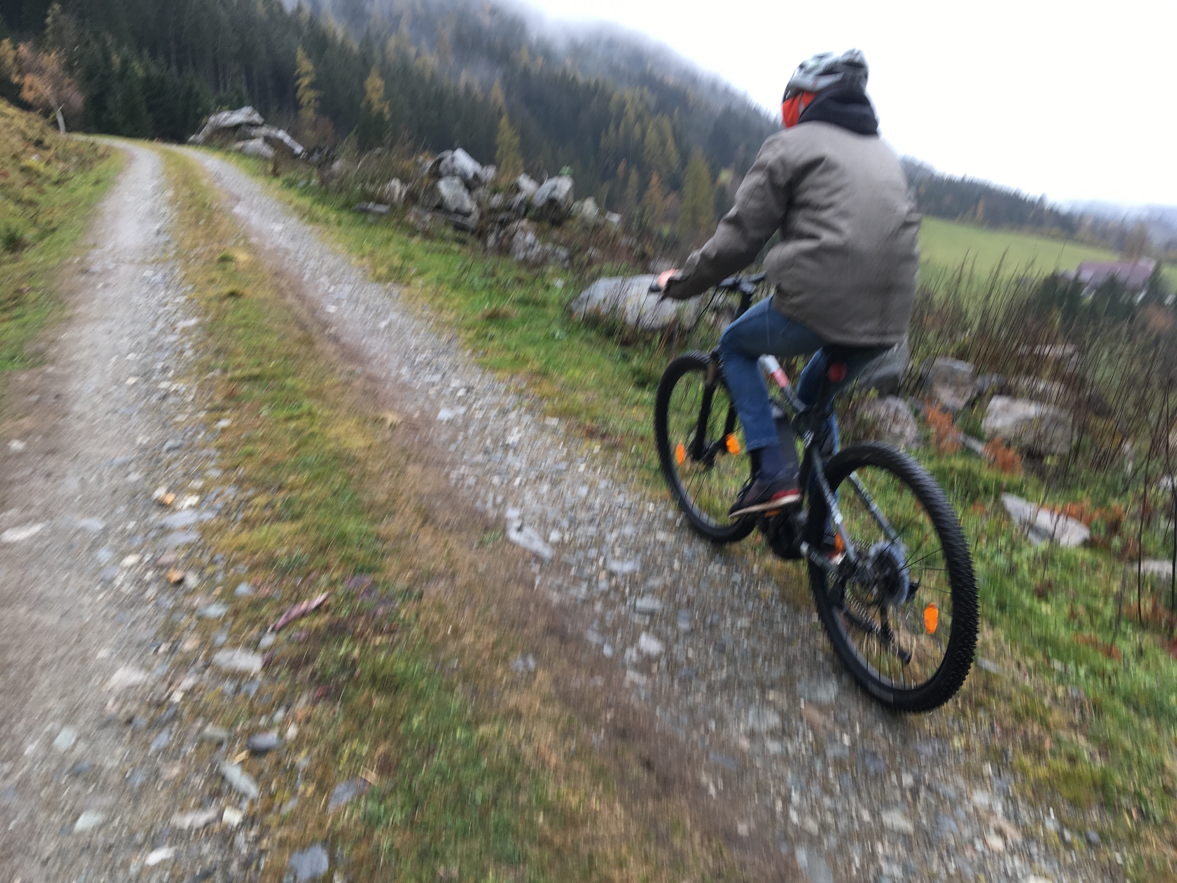 Mountainbike mit Strom