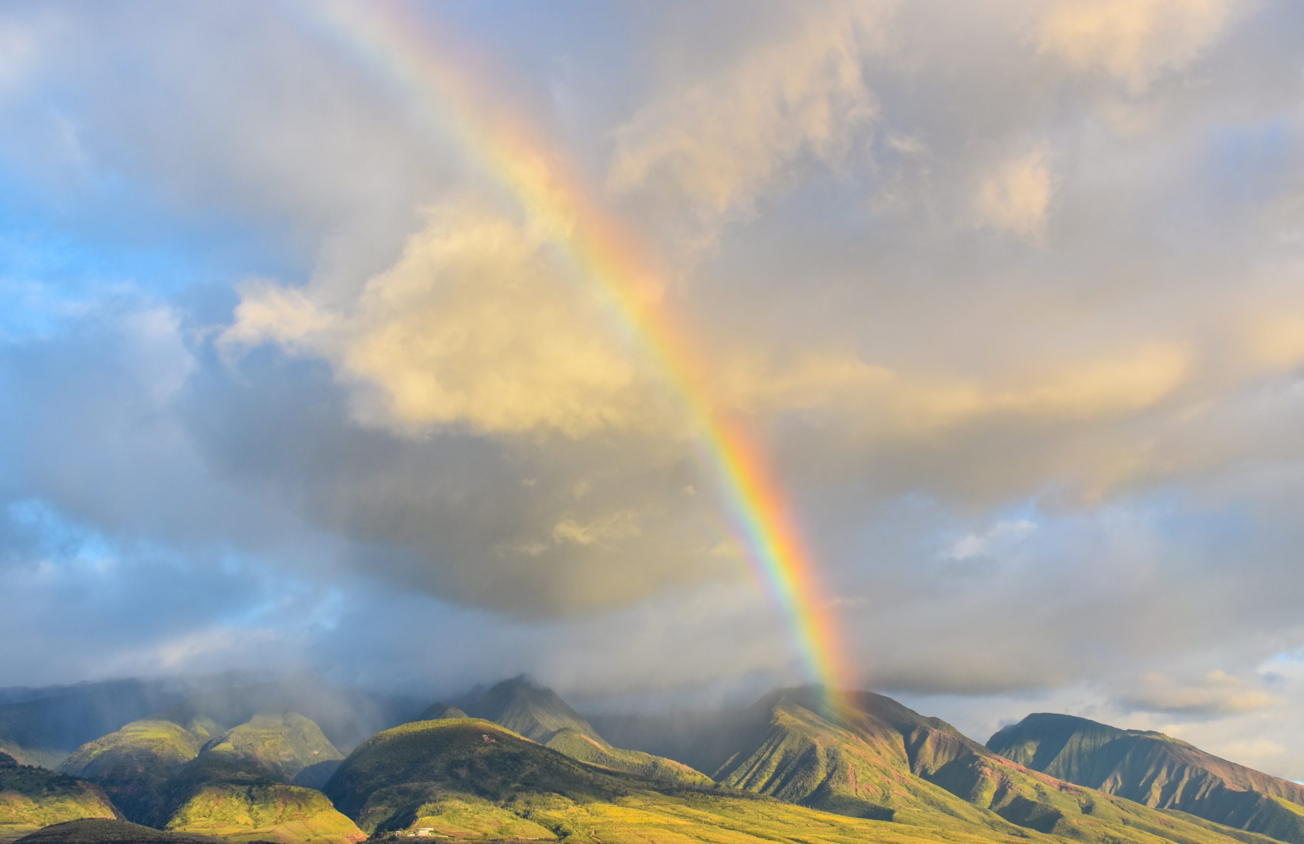 Wie entsteht ein Regenbogen?