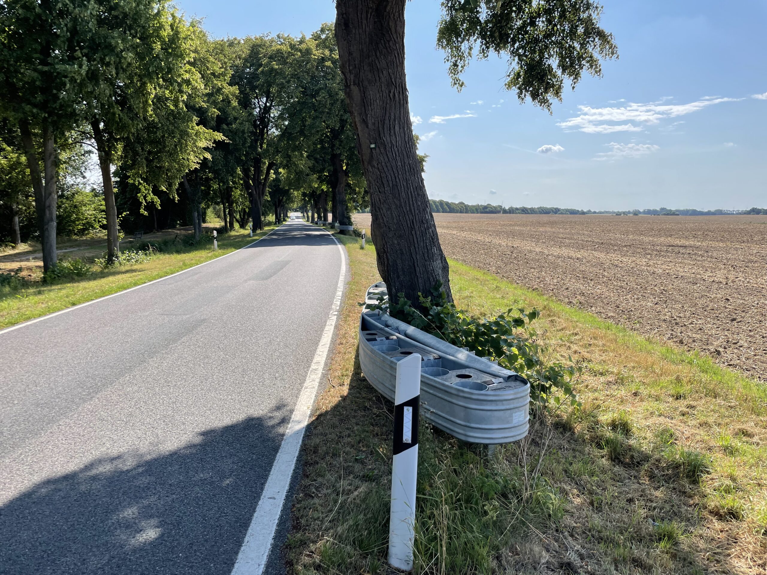 Straßenverkehr (Bremsweg, Airbag, plastische Stöße, Beschleunigung, Reibung)