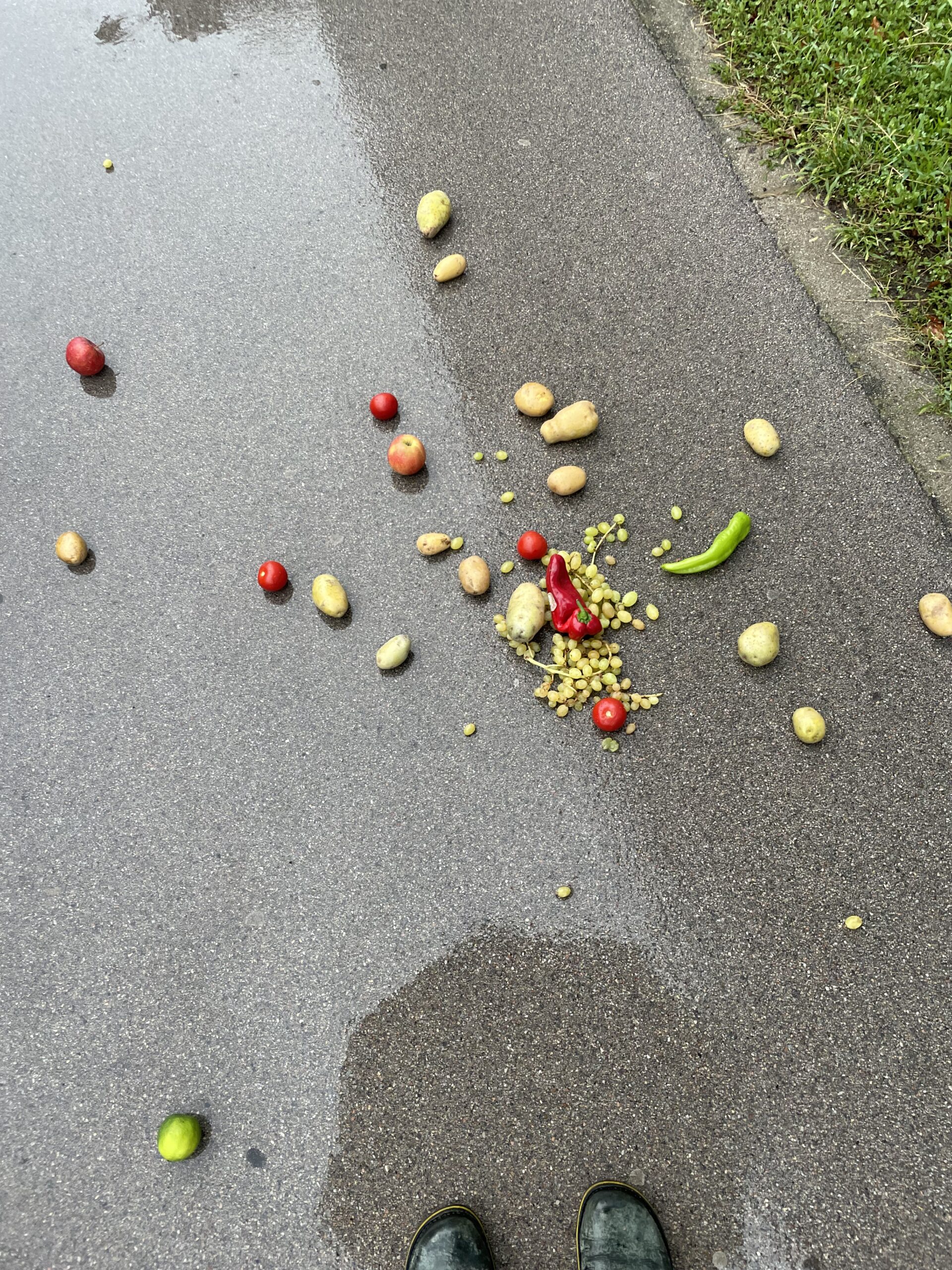 10 Geschichten mit Fehlschlüssen